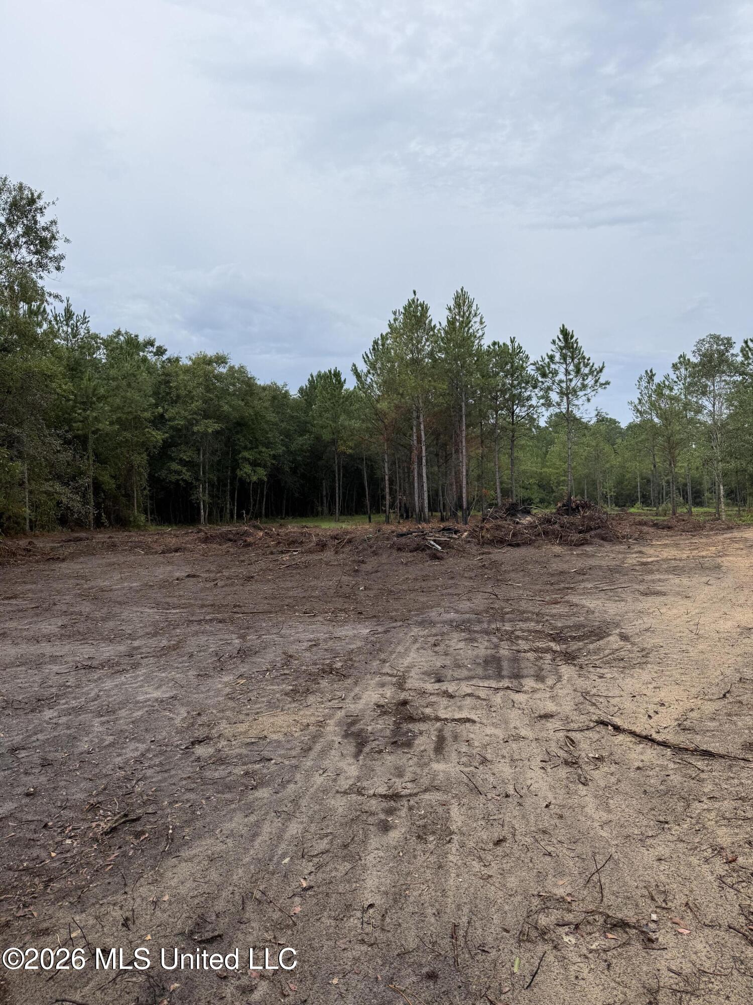 Nhn Dap Road East Moss Point, MS 39562 - Photo 5 of 23 IMG_1778