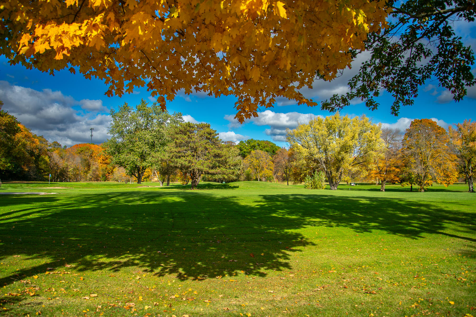 4024 South Brook Road Caledonia, WI 53126 - Photo 53 of 66 Johnson Park Golf Course just east of home.