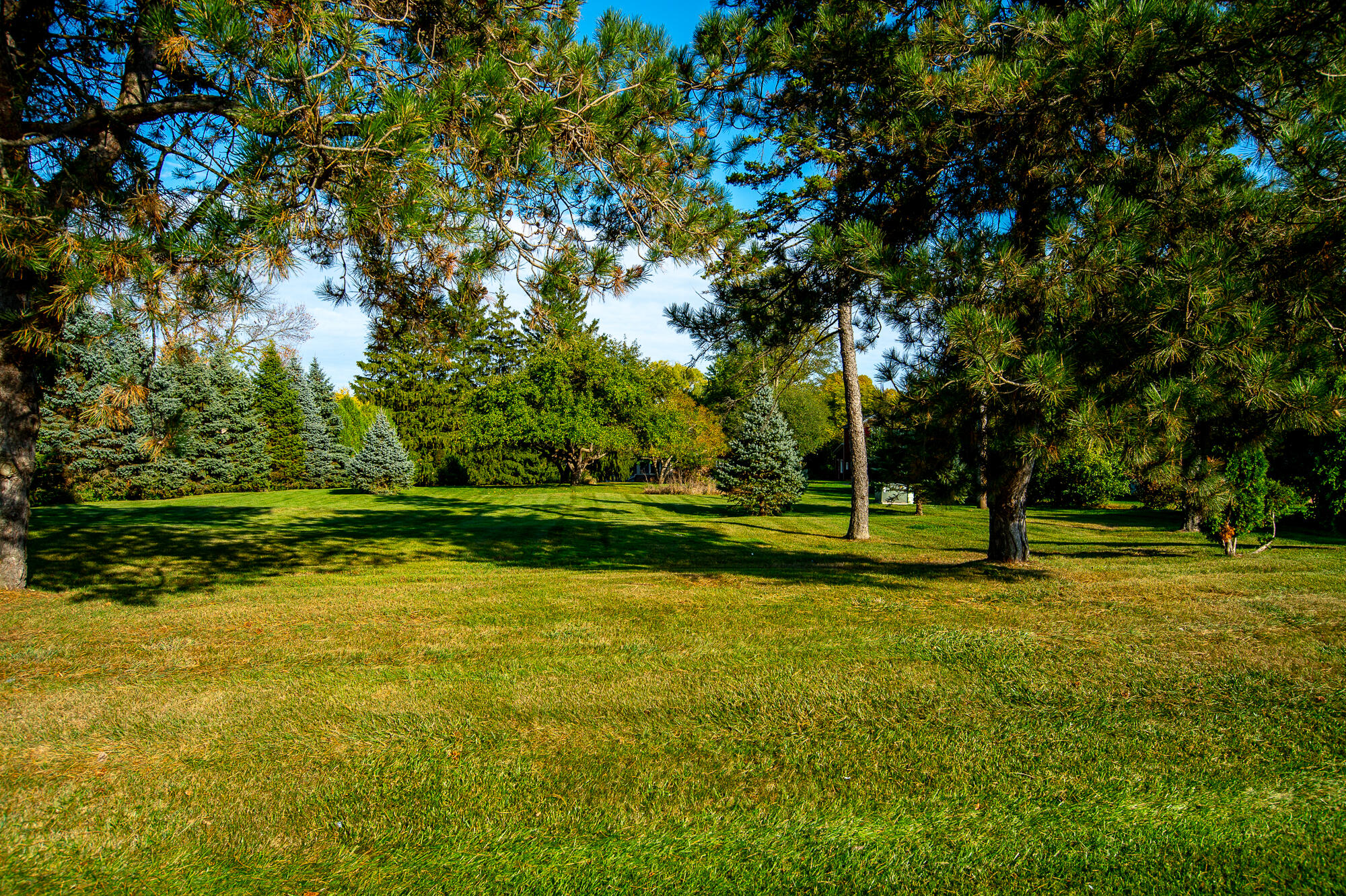 4024 South Brook Road Caledonia, WI 53126 - Photo 57 of 66 View of spacious backyard from Highway 38 looking east towards house