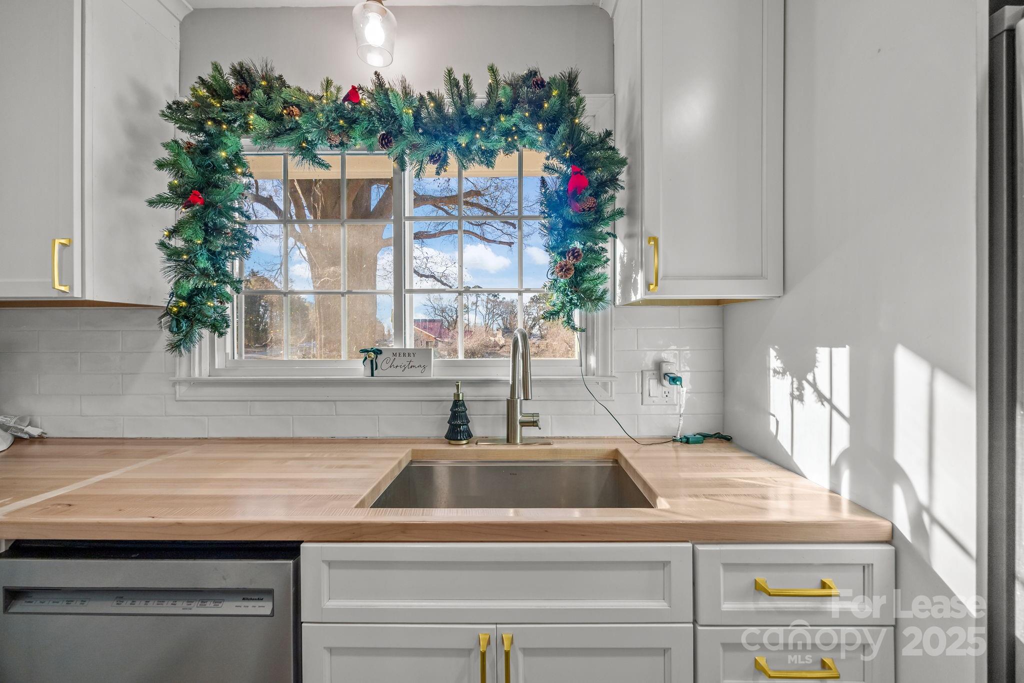 4611 Kiser Island Road Terrell, NC 28682 - Photo 11 of 40 a kitchen with a potted plant on the counter and a sink