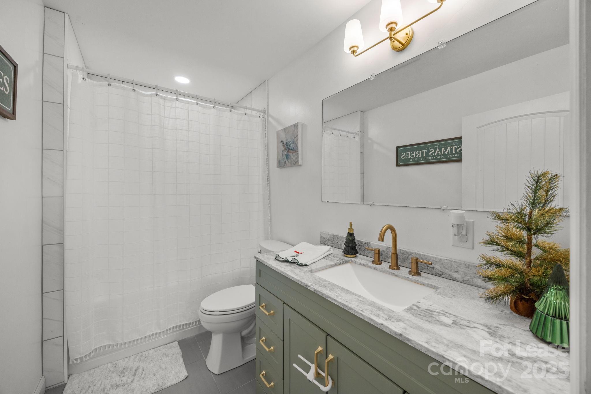 4611 Kiser Island Road Terrell, NC 28682 - Photo 23 of 40 a bathroom with a granite countertop sink a toilet and a mirror