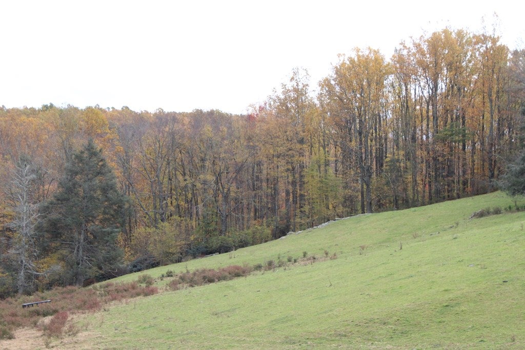 Tbd Terry's Mill Road, Unit 121A61 Laurel Fork, VA 24352 - Photo 13 of 71 Gallery Image 13