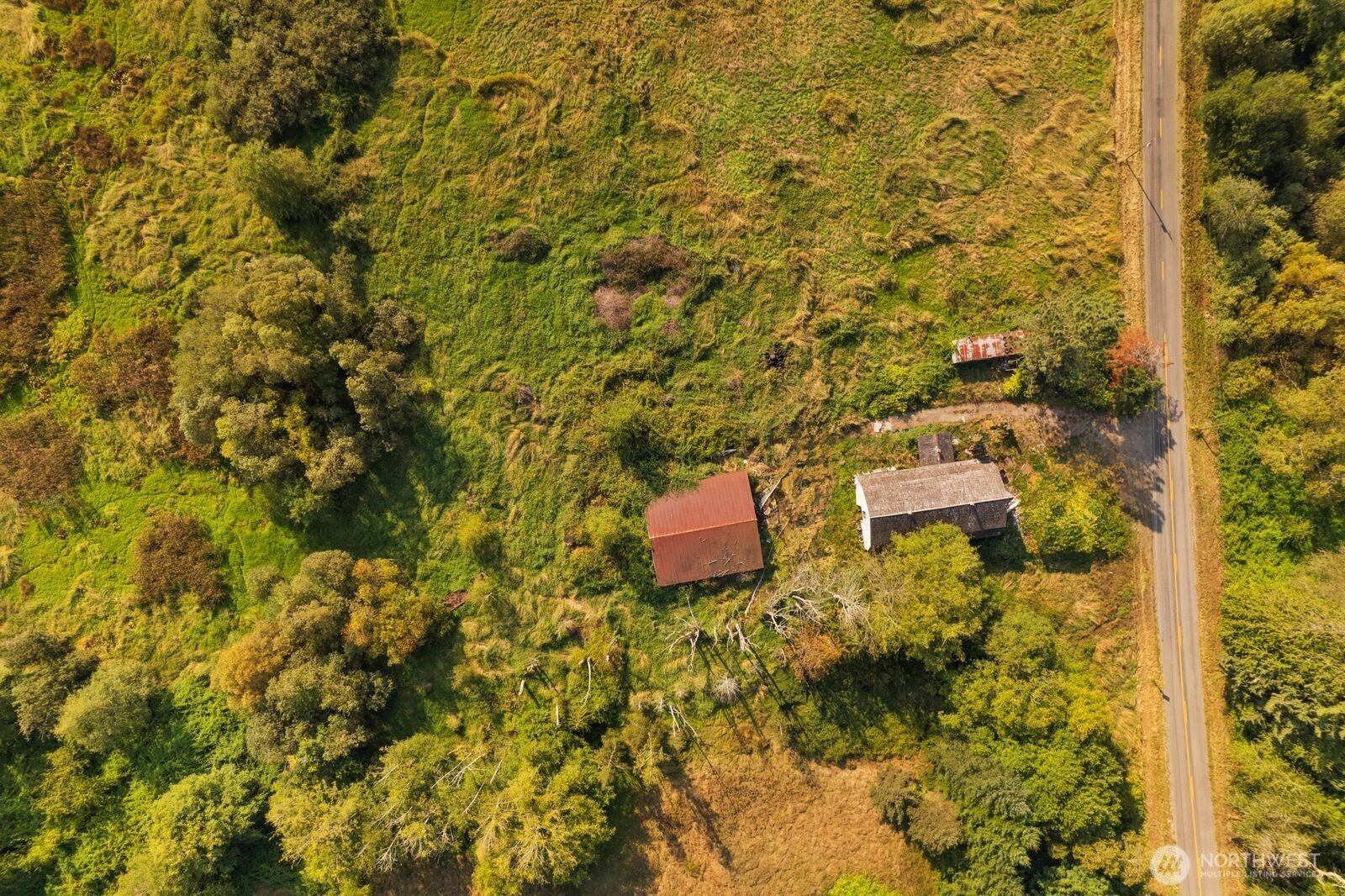 21314 Starbird Road Mount Vernon, WA 98274 - Photo 14 of 35 view of a yard with plants