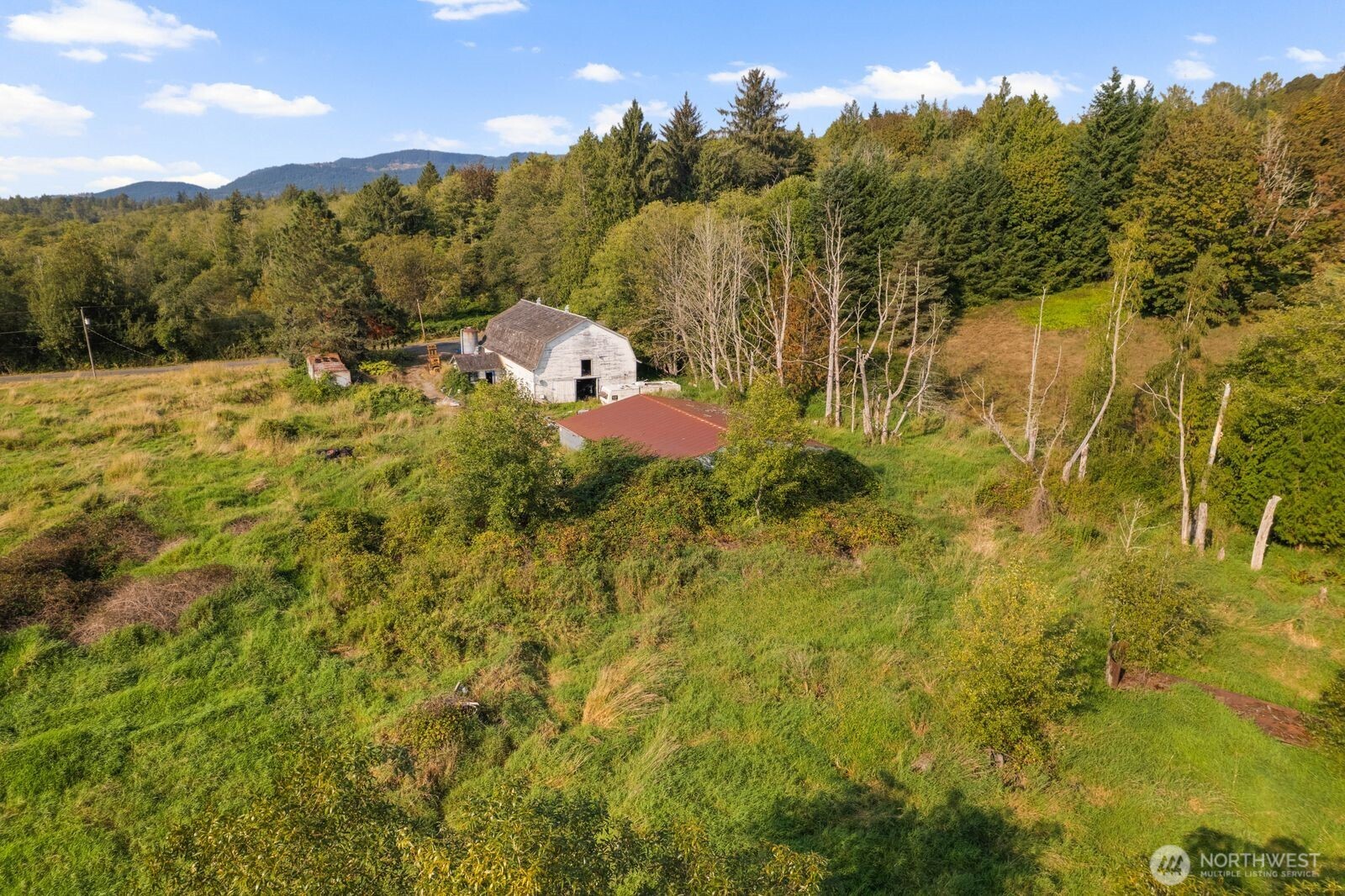 21314 Starbird Road Mount Vernon, WA 98274 - Photo 19 of 35 a view of a yard