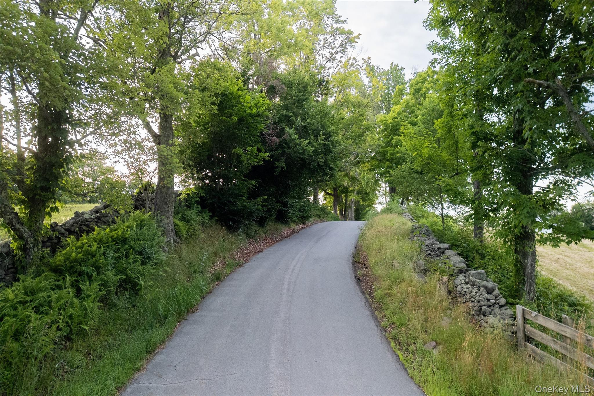 49 Crumley Van Vactor Road Ferndale, NY 12734 - Photo 2 of 50 View of asphalt street