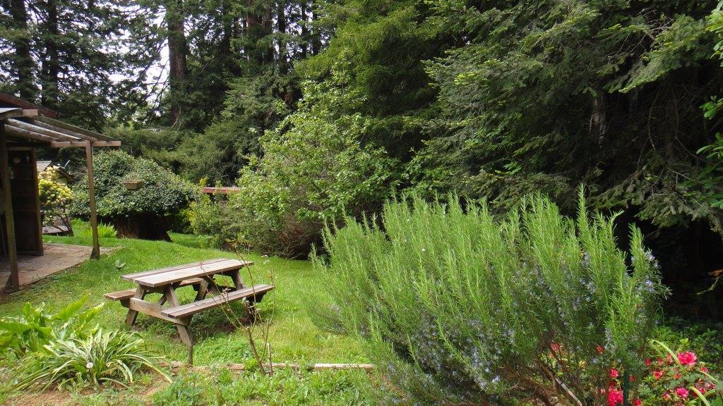 37 Fox Farm Road Trinidad, CA 95570 - Photo 32 of 55