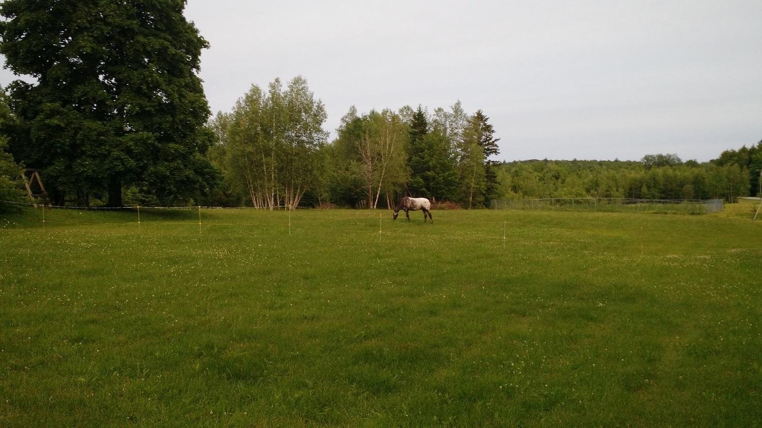 343 Moose Hill Road Ellsworth, ME 04605 - Photo 29 of 37 south southeasterly gaze - can see south