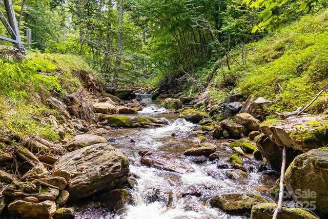a view of outdoor space with lots of trees