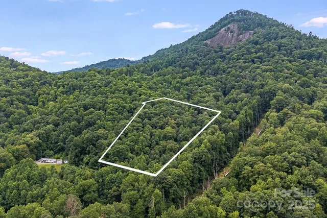 a view of a field with a tree in the background