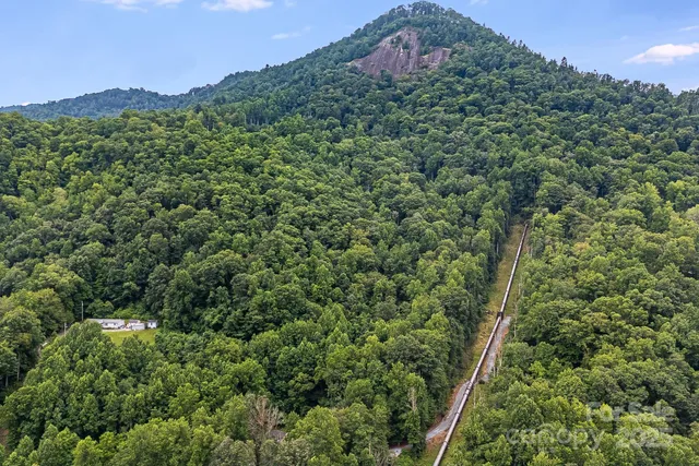 a view of a house with a lush green forest