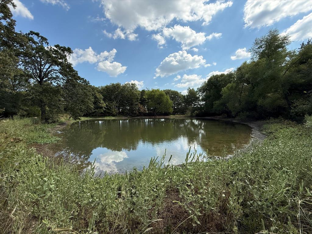 16043 Cr-344 Terrell, TX 75161 - Photo 12 of 18 a view of a lake view