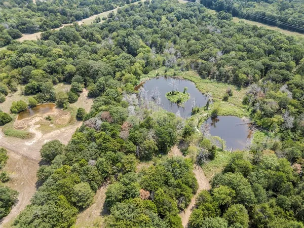 a view of a dry yard