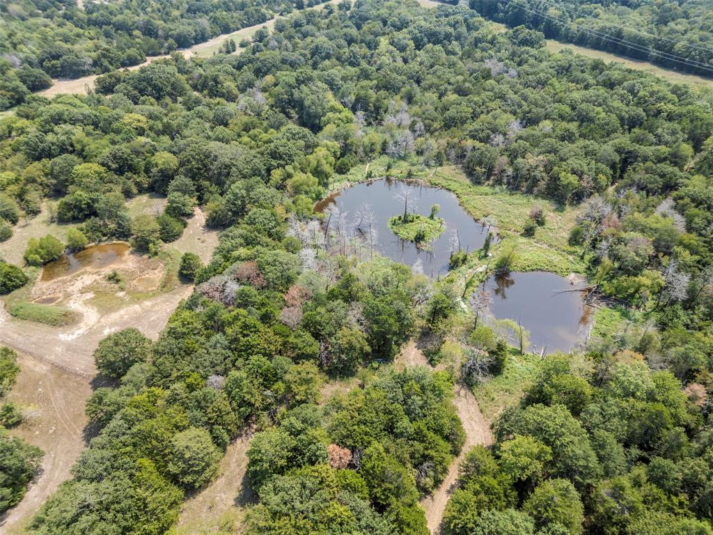 16043 Cr-344 Terrell, TX 75161 - Photo 15 of 18 an aerial view of a house with a yard and large trees