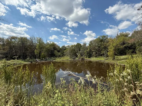 a view of a lake from a yard