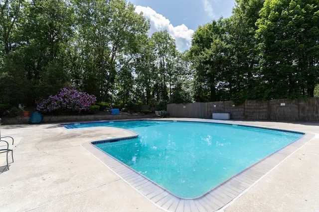 a view of a swimming pool with a yard and plants