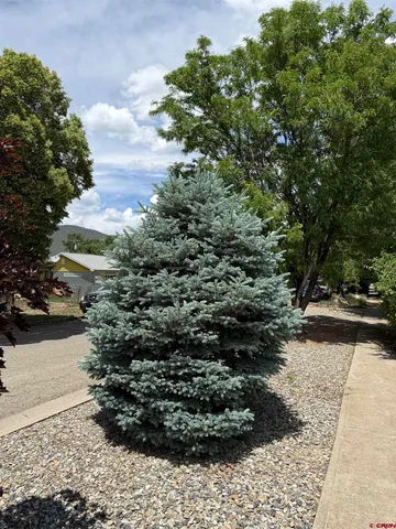 $725,000 | 201 Box Elder Avenue, Unit 4, Paonia, CO 81428