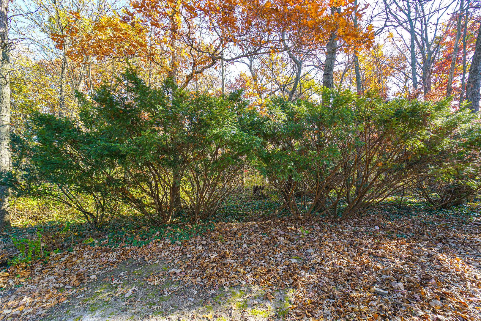 3443 Huntington Terrace Crete, IL 60417 - Photo 36 of 36