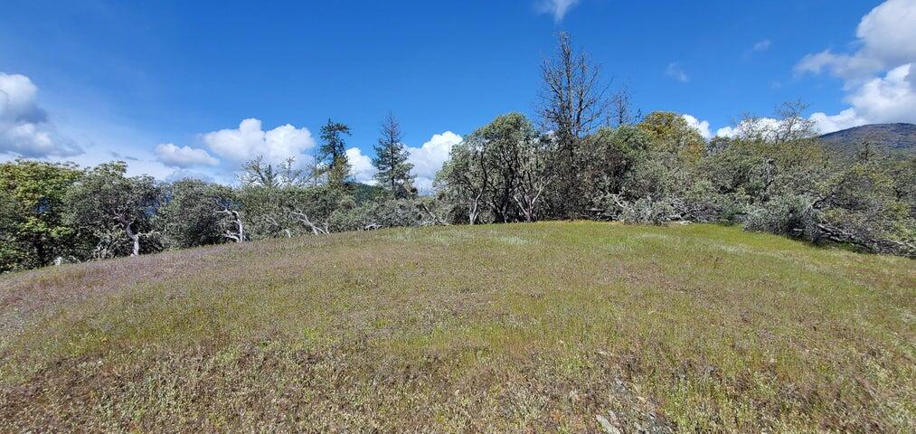 11238 East Evans Creek Road Rogue River, OR 97537 - Photo 20 of 29 a view of a green yard