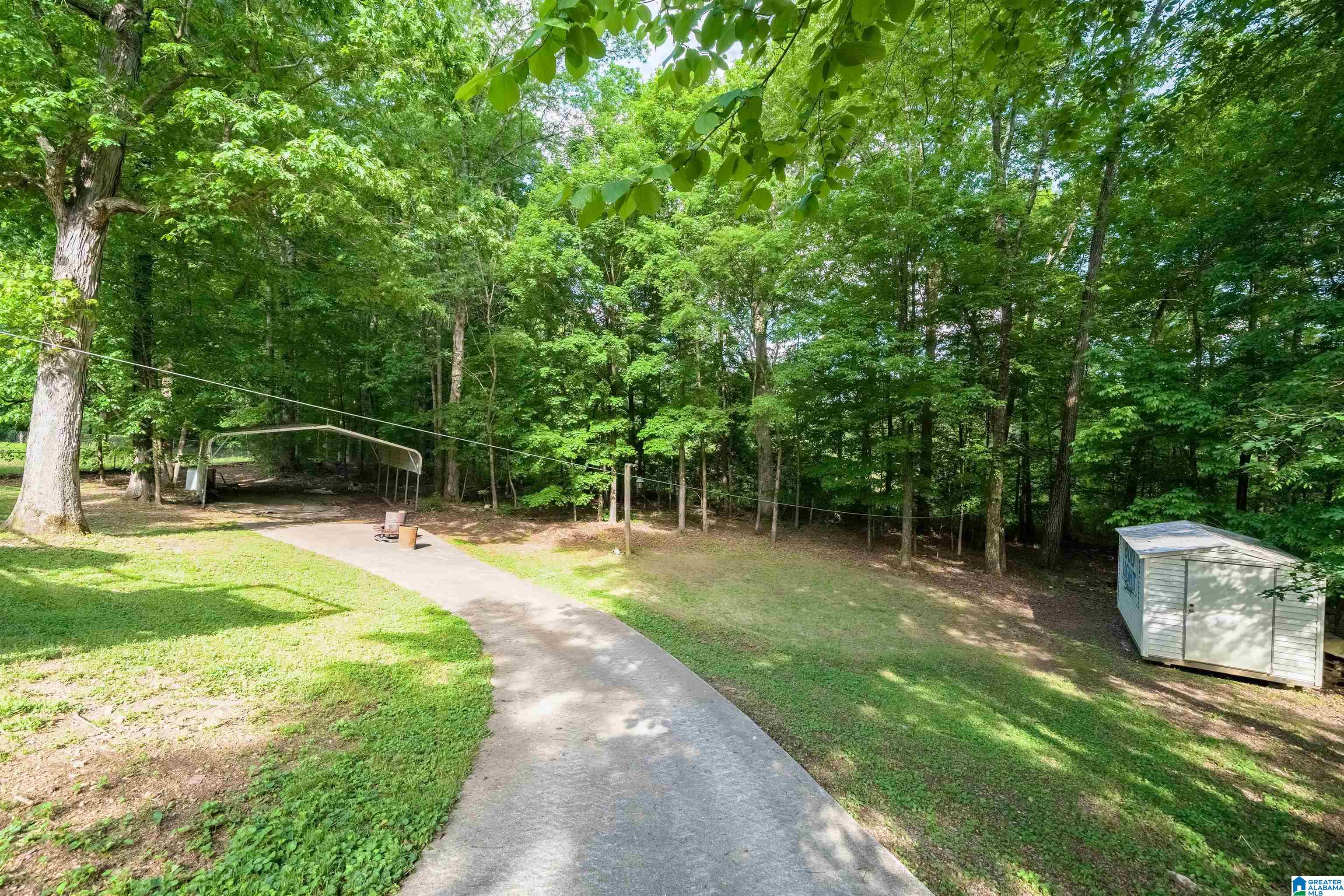 170 Lee Street Springville, AL 35146 - Photo 24 of 25