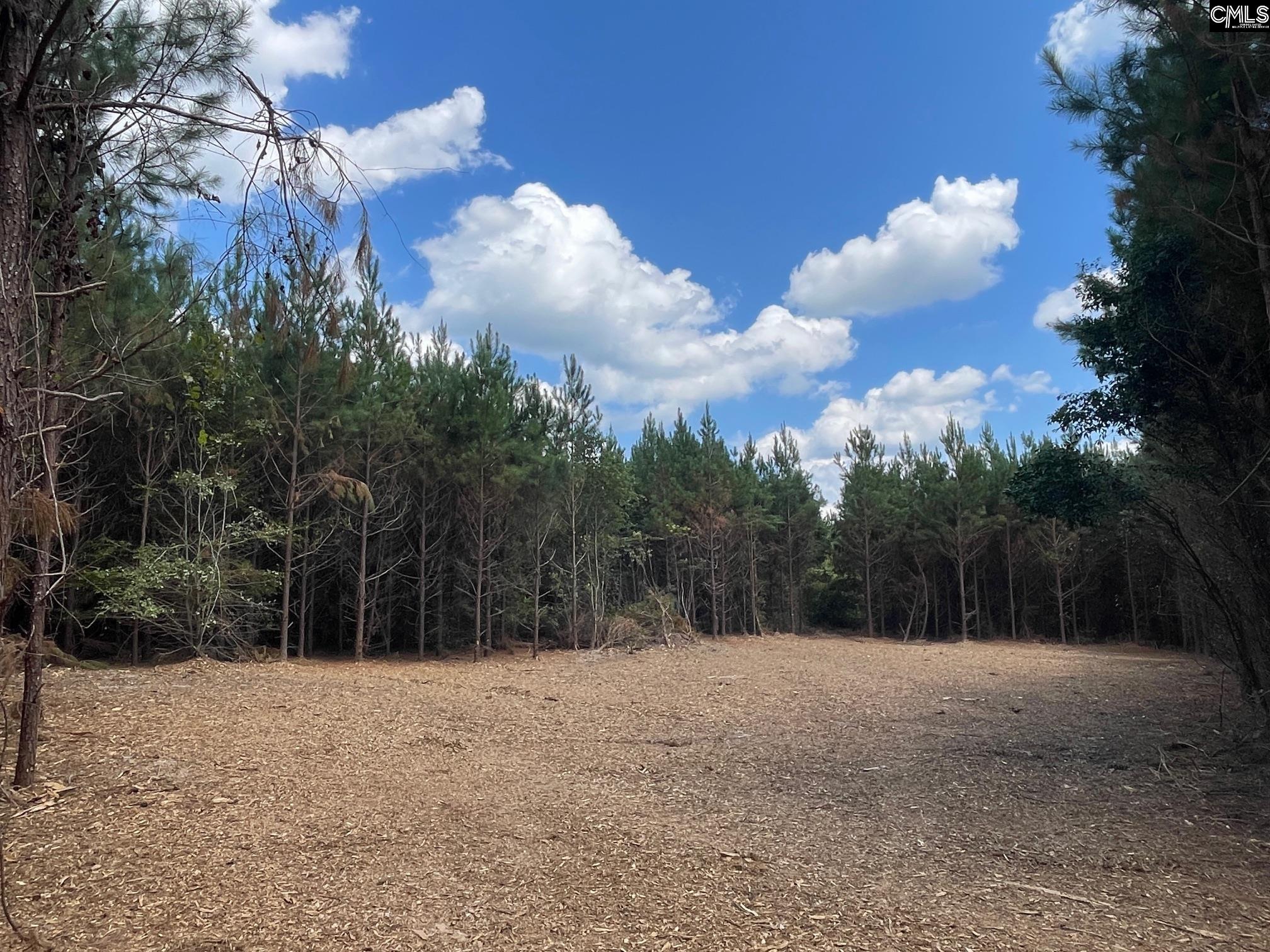 0 Lake Elliott Road Cassatt, SC 29032 - Photo 6 of 8