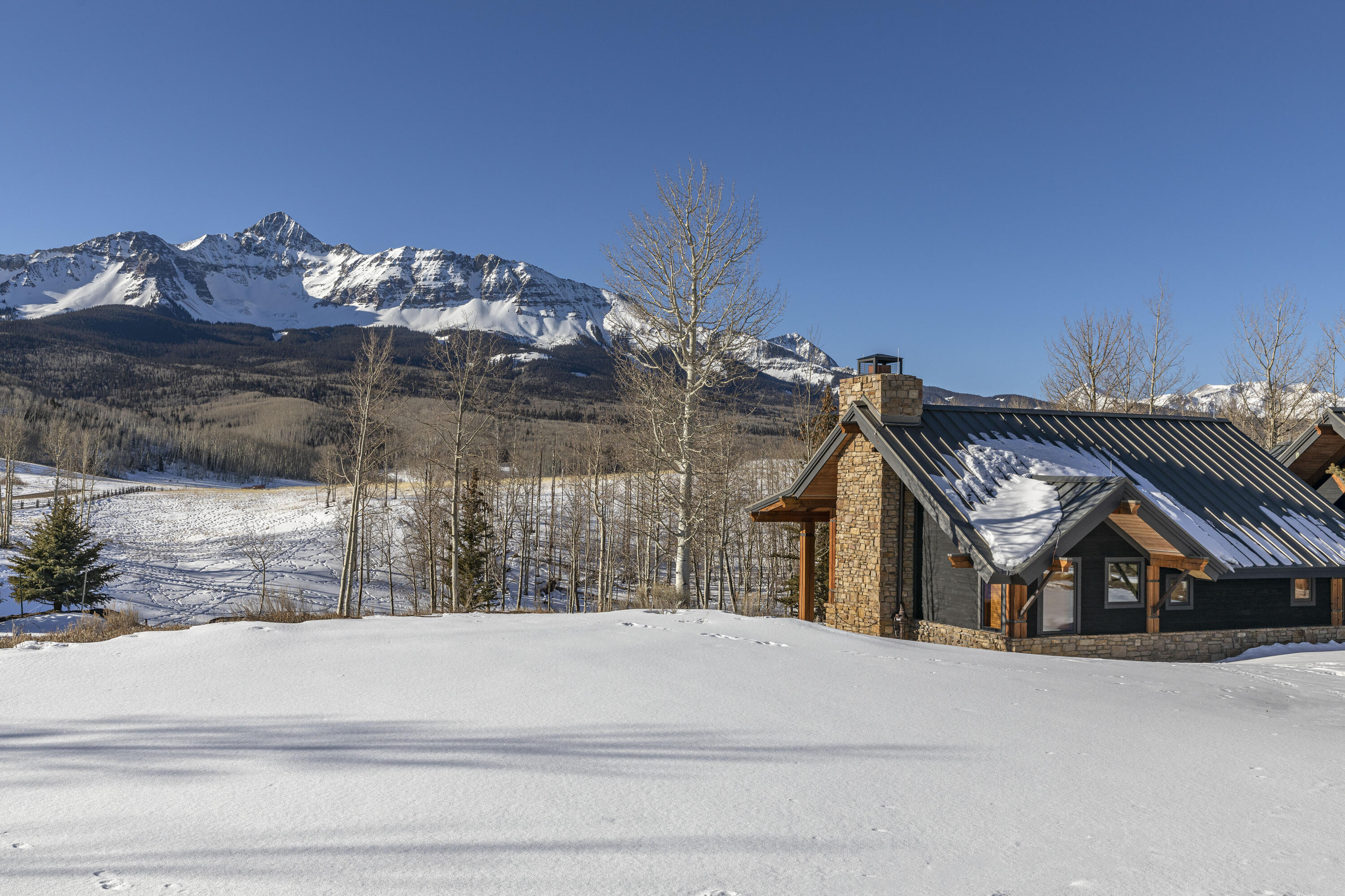 6800 County Road Telluride, CO 81435 - Photo 48 of 64 a view of a house with a yard and potted plants