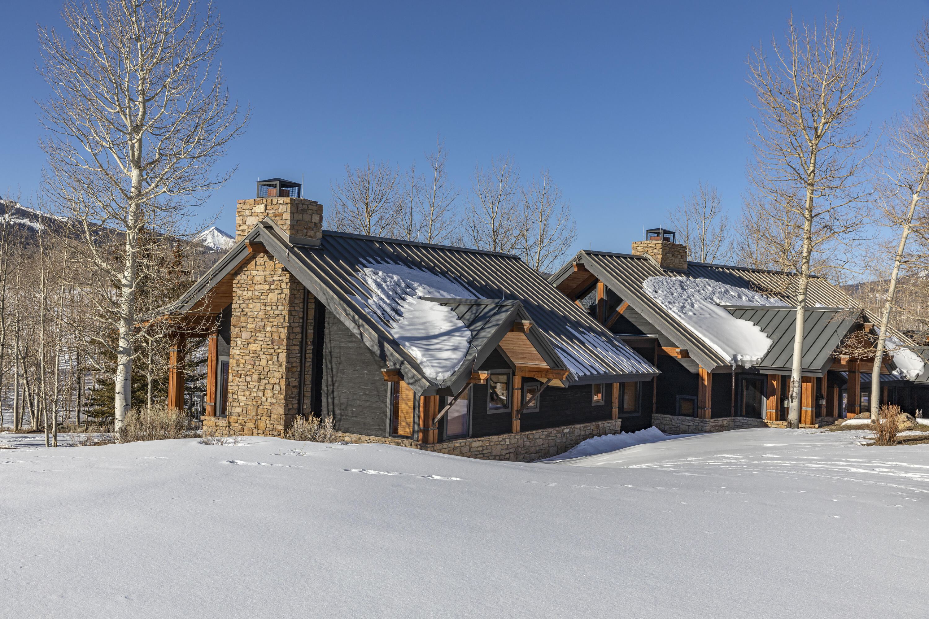 6800 County Road Telluride, CO 81435 - Photo 49 of 64 a view of a house with a street
