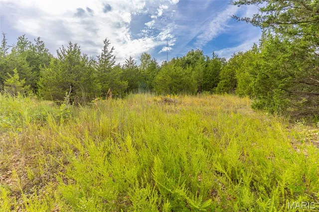 $174,000 | 10248 Keyes Branch Road, Cadet, MO 63630