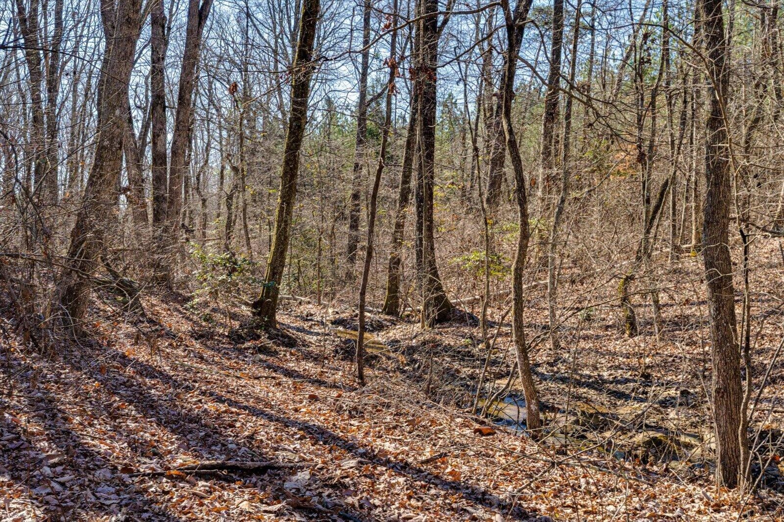 805 Dukes Road Signal Mountain, TN 37377 - Photo 20 of 33 Gallery Image 20