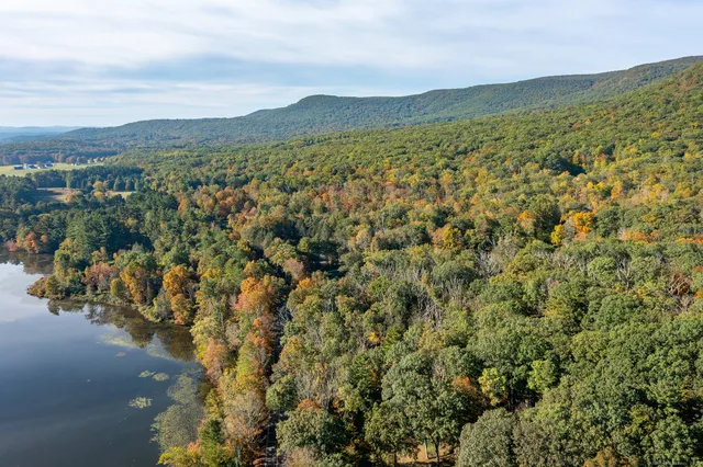 a view of a city with mountains in the background