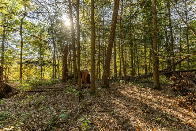 a view of outdoor space and yard