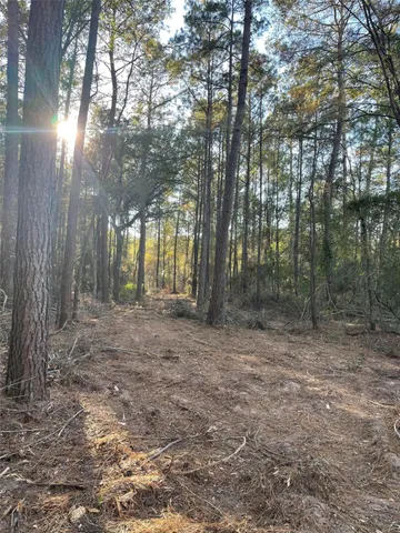 $199,000 | 13034 Hackberry, Plantersville, TX 77363