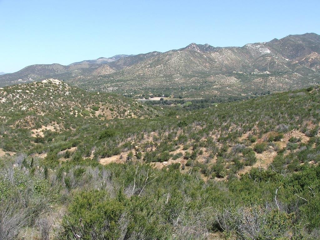 31 Parrot Mountain Road Ranchita, CA 92066 - Photo 3 of 10 196-150-31-00 No obvious pad, but plenty of possibilities.