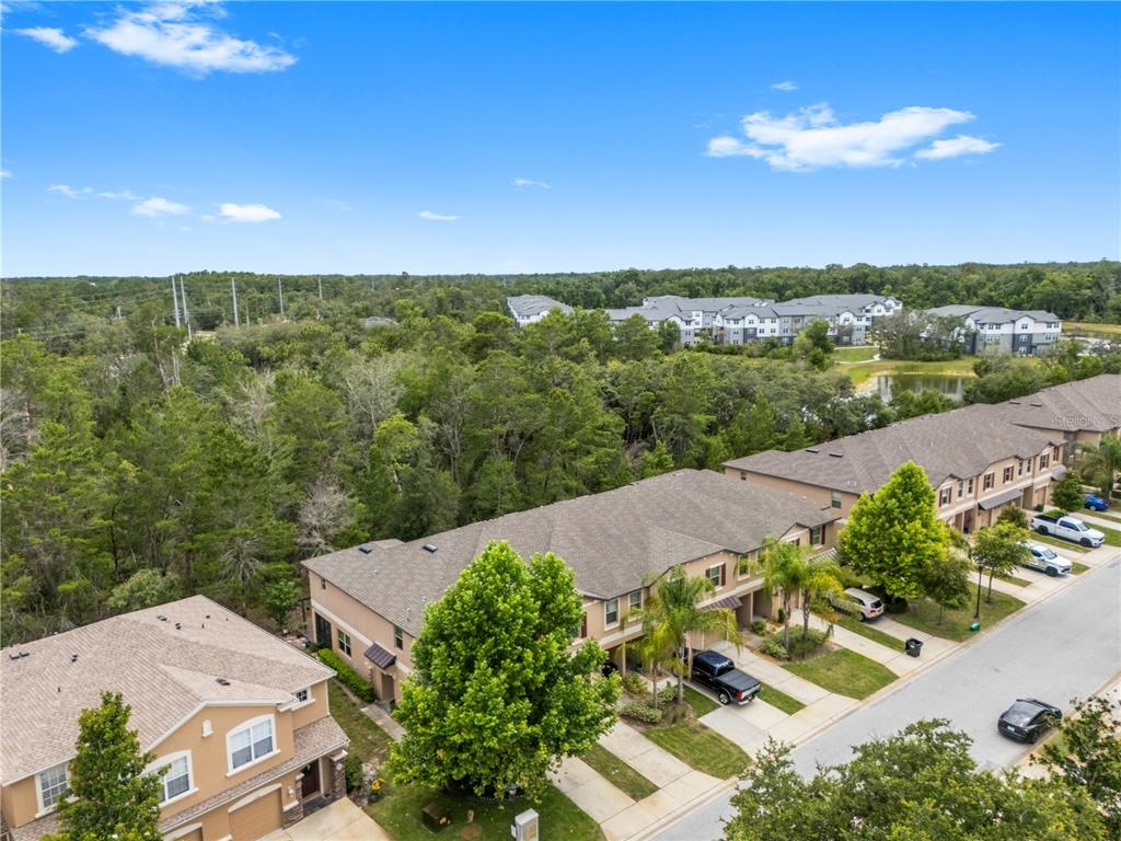11742 Castine Street New Port Richey, FL 34654 - Photo 48 of 58