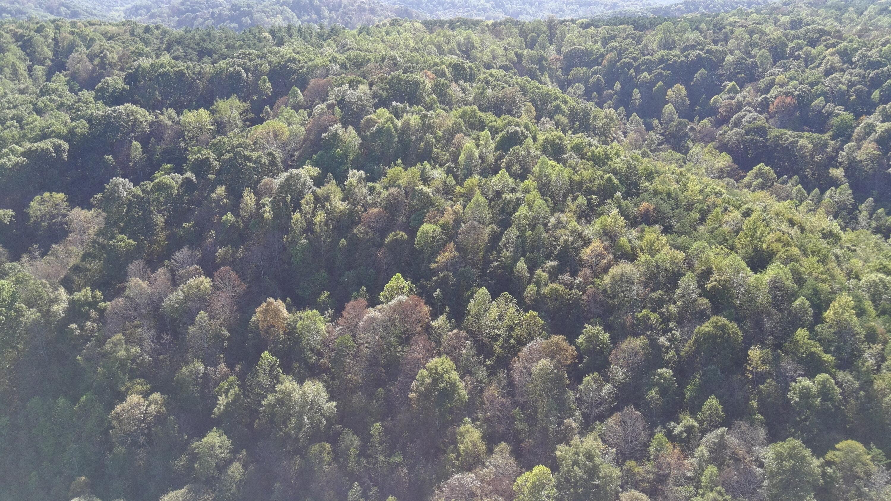 0 Dougan Road Patriot, OH 45658 - Photo 31 of 45 5591445_100DRONE_SING0269