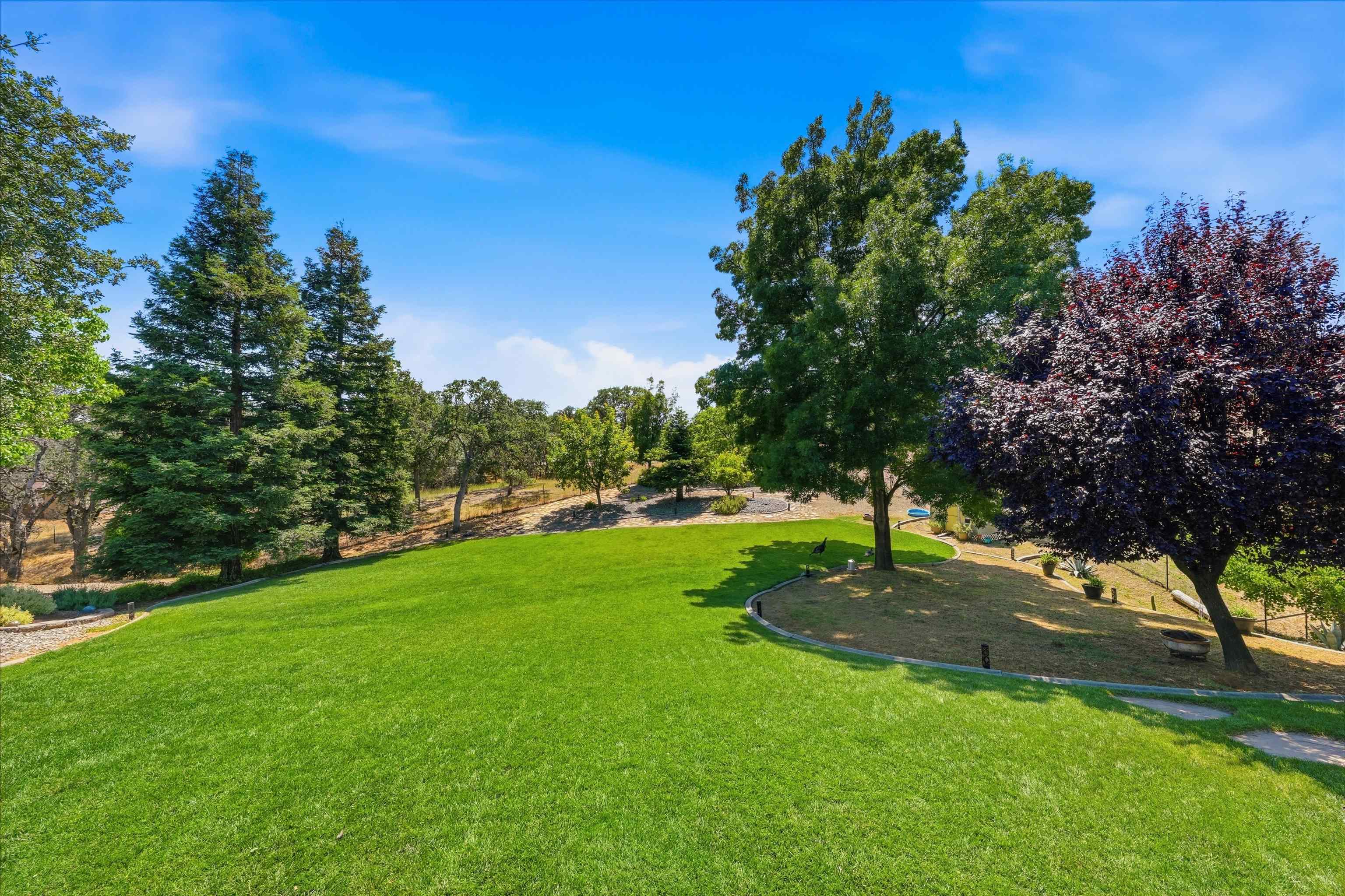 21435 Wilcox Road Red Bluff, CA 96080 - Photo 30 of 51