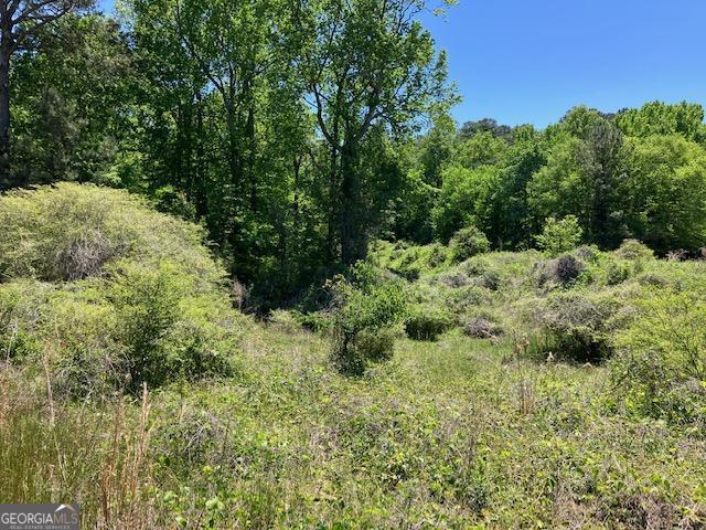 4038 West McIntosh Road Griffin, GA 30223 - Photo 2 of 6 a view of a garden with a tree