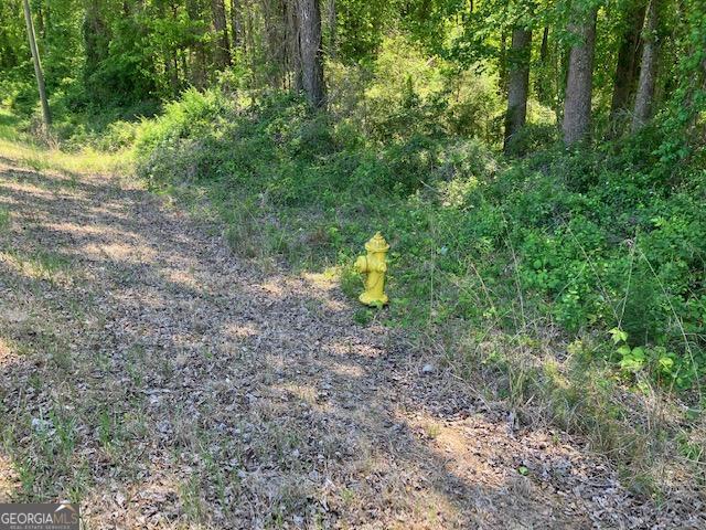 4038 West McIntosh Road Griffin, GA 30223 - Photo 3 of 6 a view of a forest with a trees