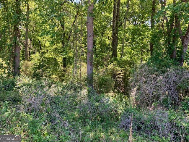 4038 West McIntosh Road Griffin, GA 30223 - Photo 5 of 6 a view of a forest with a tree