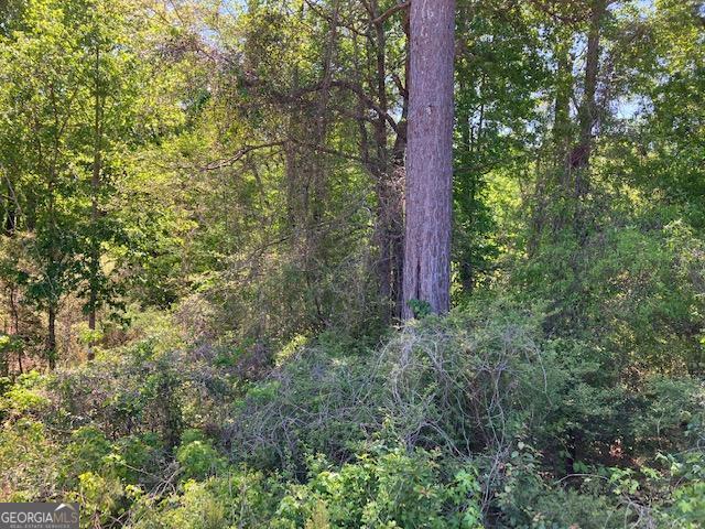 4038 West McIntosh Road Griffin, GA 30223 - Photo 6 of 6 a close up of a tree