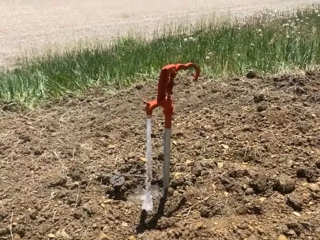 a view of a forest with a tree in the background
