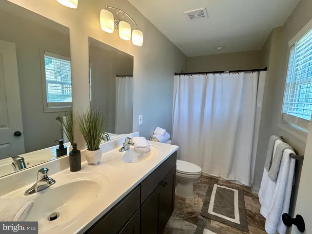 a bathroom with a double vanity sink toilet and a mirror