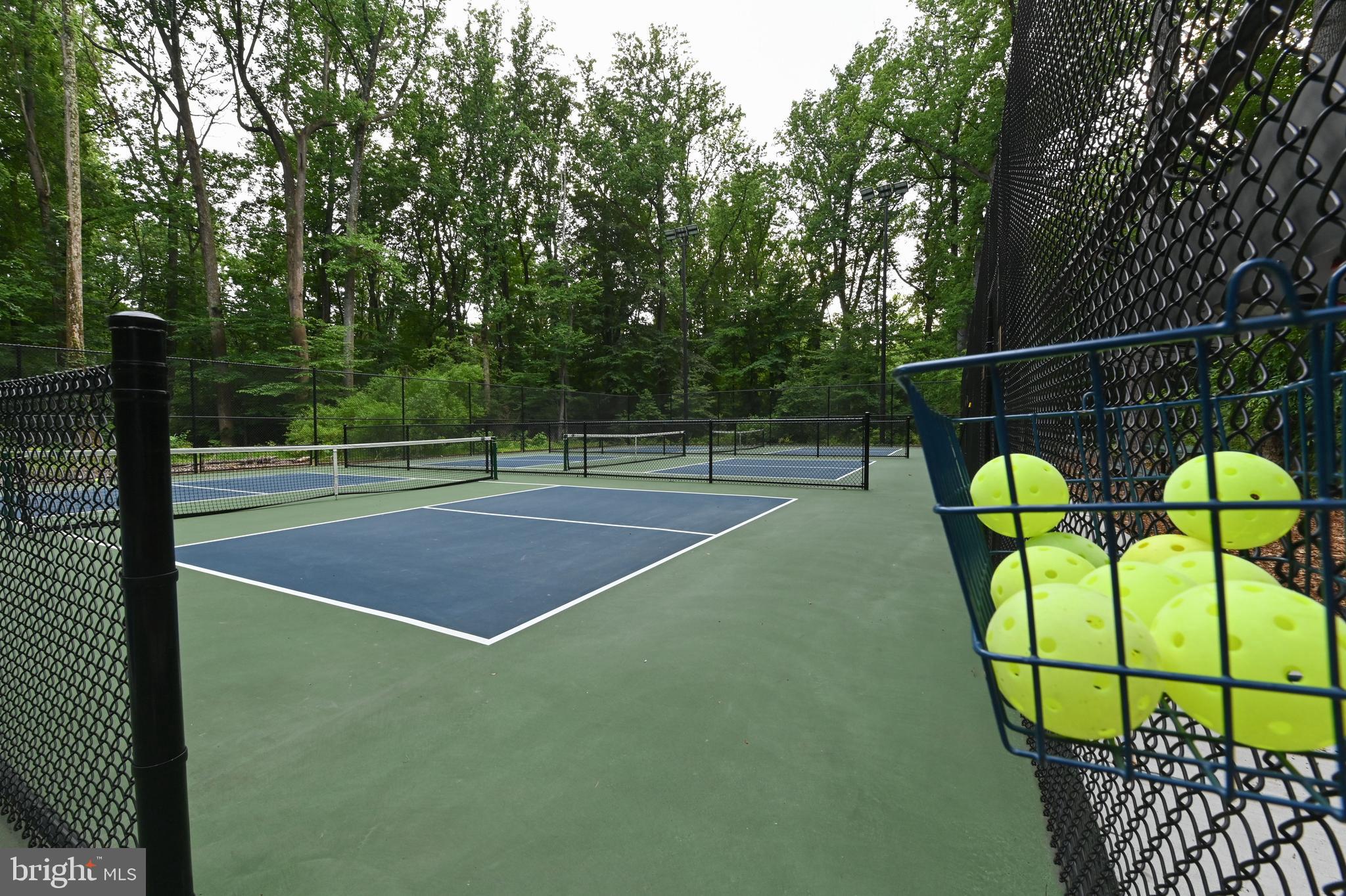 769 Robin Hood Road Annapolis, MD 21405 - Photo 77 of 79