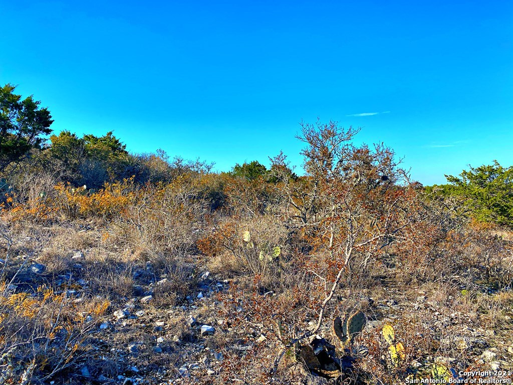 73-14 Pr 2404 Uvalde, TX 78801 - Photo 2 of 22 a view of a tree