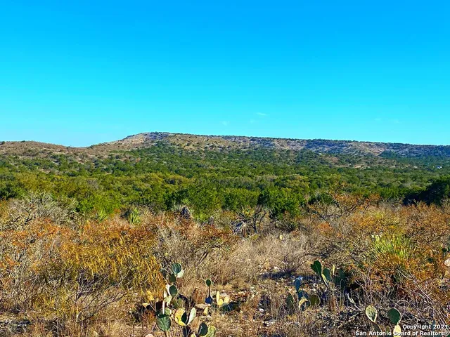 a view of a green field with lots of bushes
