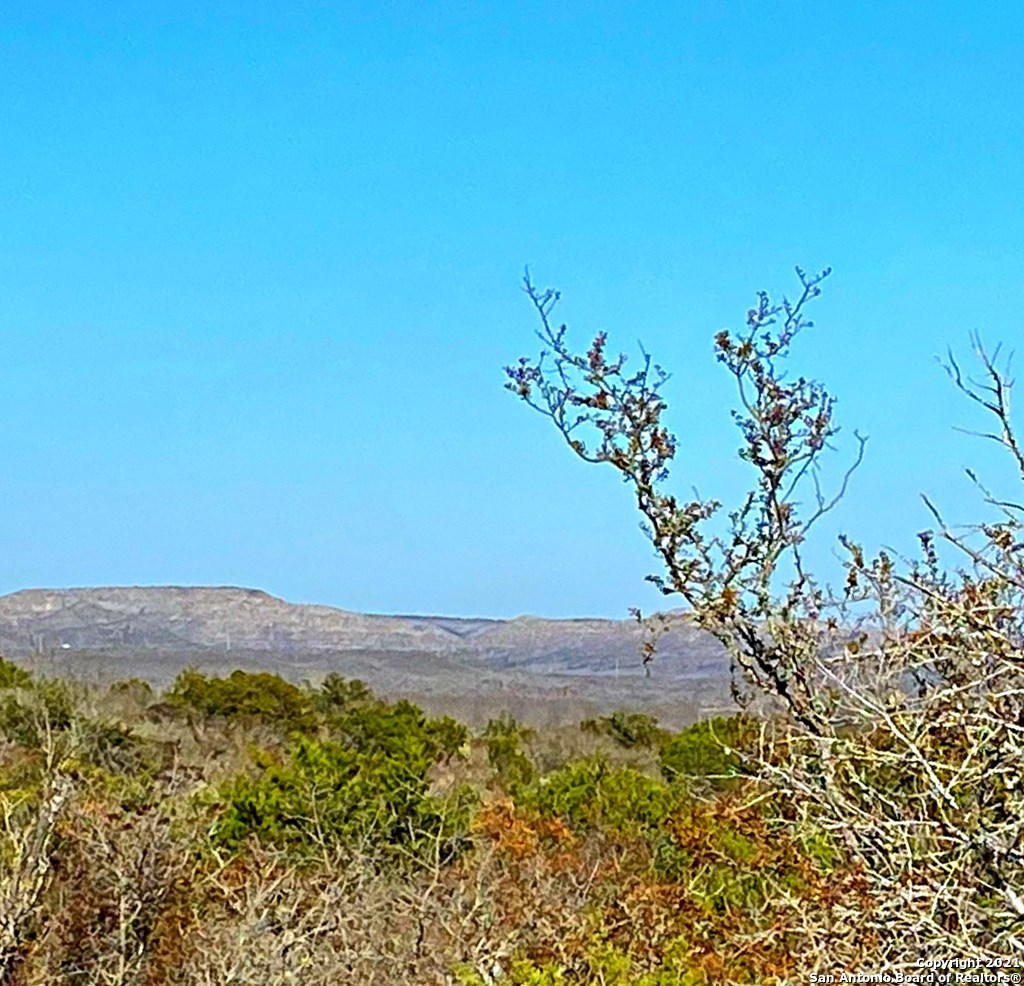 73-14 Pr 2404 Uvalde, TX 78801 - Photo 22 of 22 a view of a yard