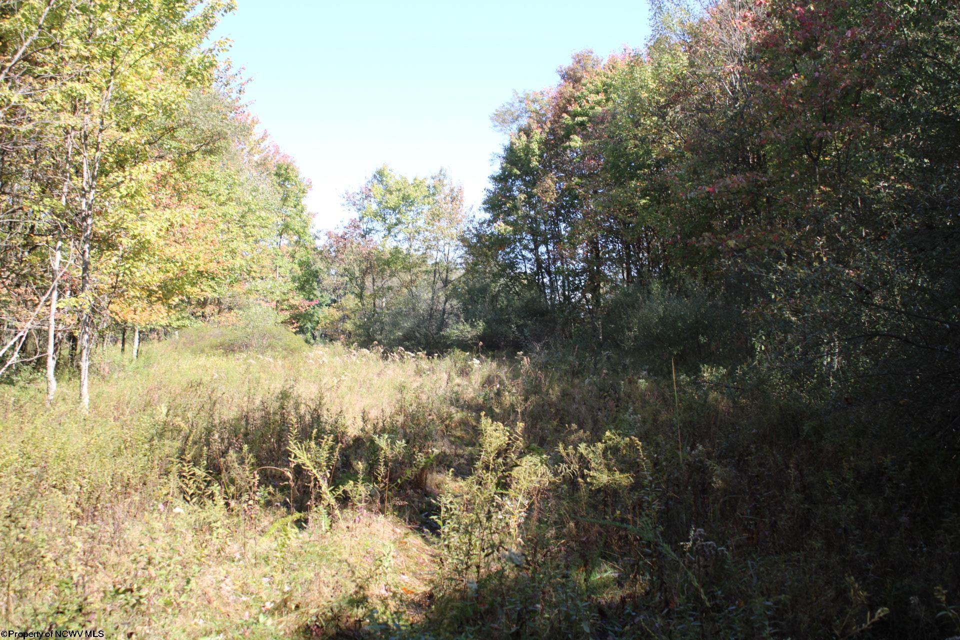 1429 Sand Bank Road Masontown, WV 26542 - Photo 1 of 23 Gallery Image 1