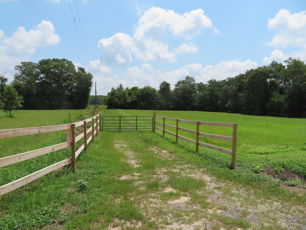 Tbd Tbd Samuel Alston Sr Road Rembert, SC 29128 - Photo 1 of 5