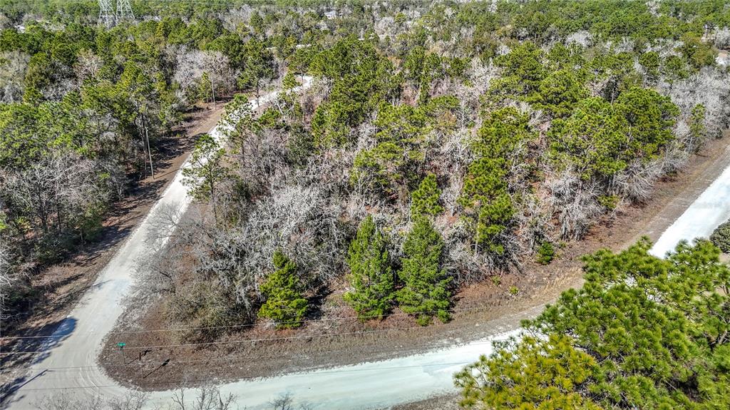 16070 Sheldrake Loop Weeki Wachee, FL 34614 - Photo 10 of 23