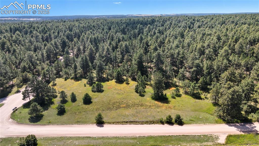 18380 Black Squirrel Road Colorado Springs, CO 80908 - Photo 7 of 10 a view of a yard