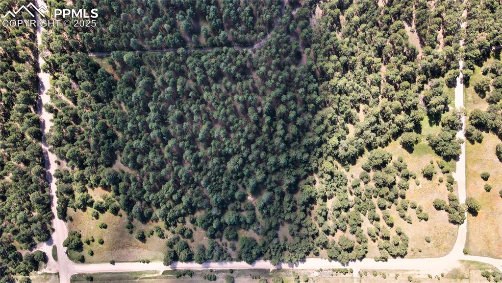 18380 Black Squirrel Road Colorado Springs, CO 80908 - Photo 10 of 10 view of a yard